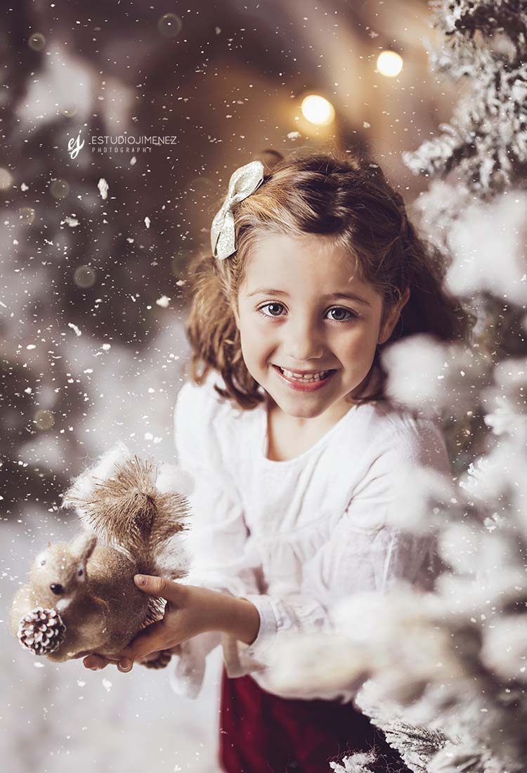 Sesiones de fotos navideñas